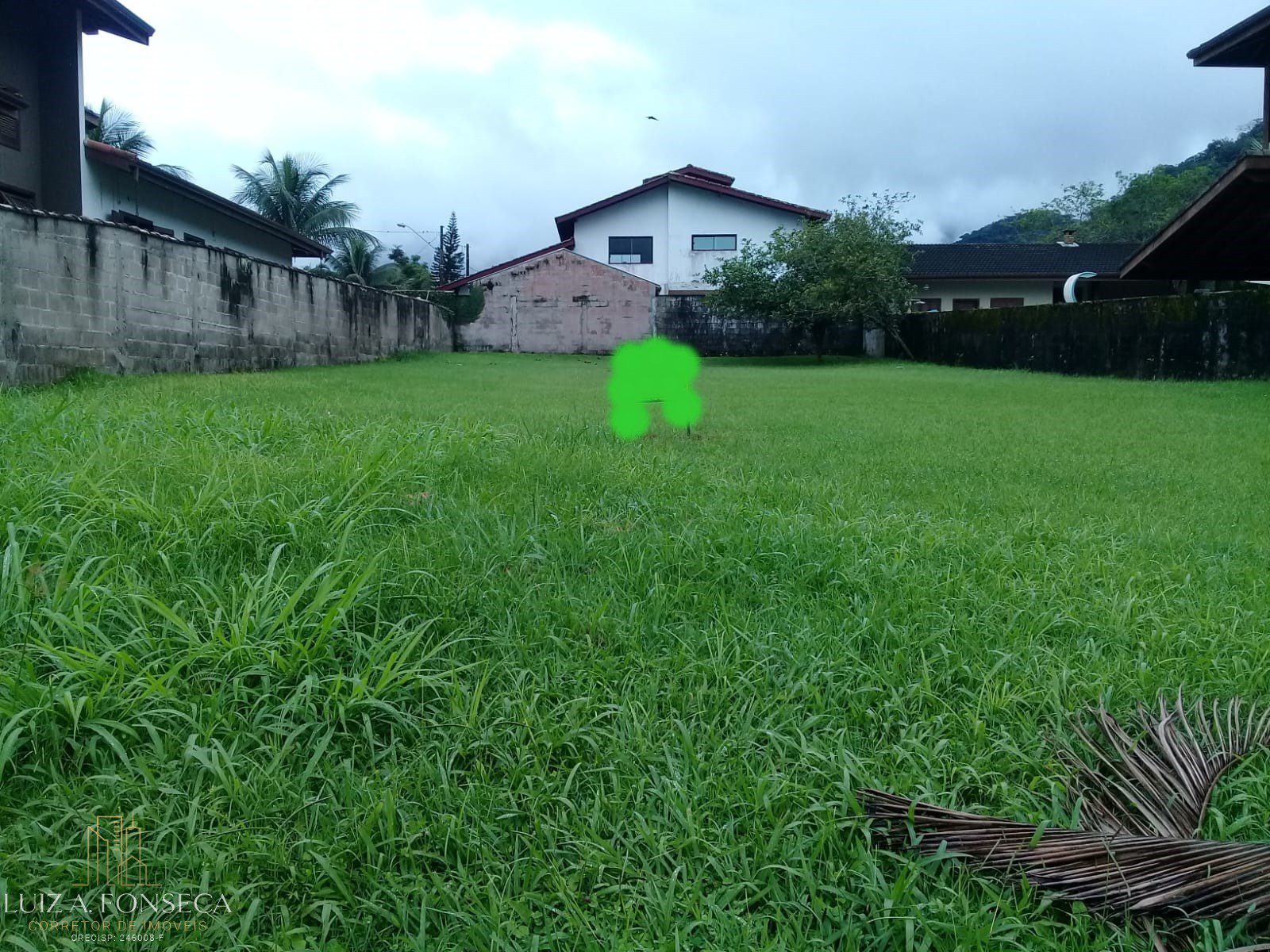 Foto de Luiz Andre Fonseca(1)